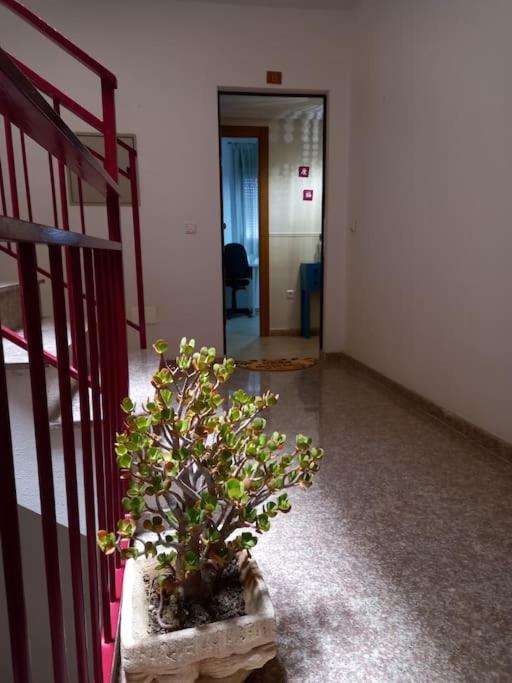Apartamento Tranquilo Cerca De Zonas Verdes เซียซา ภายนอก รูปภาพ