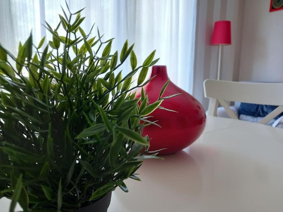 Apartamento Tranquilo Cerca De Zonas Verdes เซียซา ภายนอก รูปภาพ